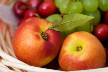 Nektarinen im Obstkorb
