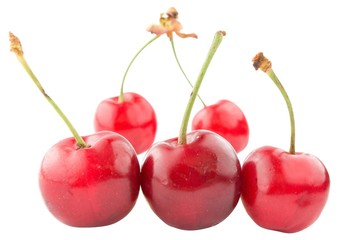juicy cherry isolated