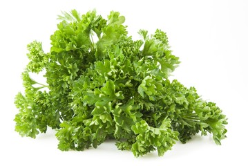 Fototapeta premium Parsley twig..