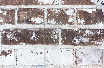 Brick wall + white paint (texture)