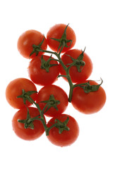 tomato isolated on white