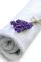 Lavender towel