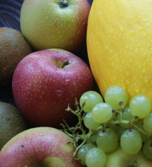 Obst
