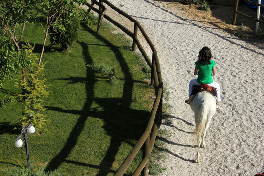 Horse