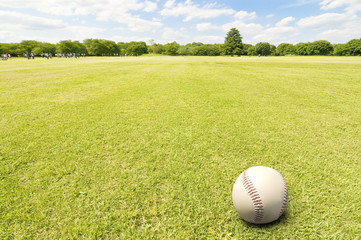 芝生と野球ボール