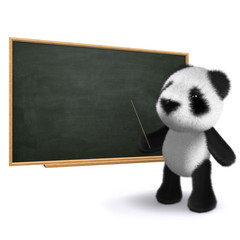3d Teddy points at the chalkboard © Steve Young
