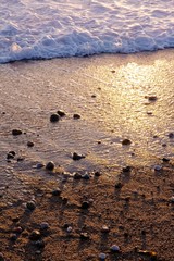 Sur le sable