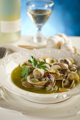 clam soup