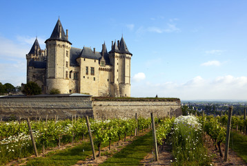 Fototapeta na wymiar Zamek w Saumur, winorośli na pierwszym planie
