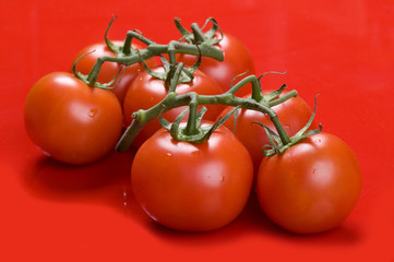tomato close up on red background