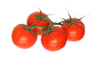 Fresh Tomatoes