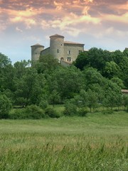 Fototapeta premium château de Comps