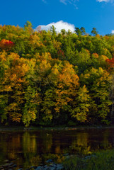 Fall colors along the Greenbrier River