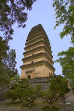 chine,xi'an : pagode de la petite oie sauvage