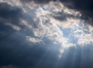 Fototapeta premium sun light and cloudy sky