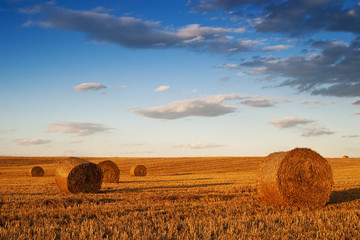 Farmers field full of hay bales