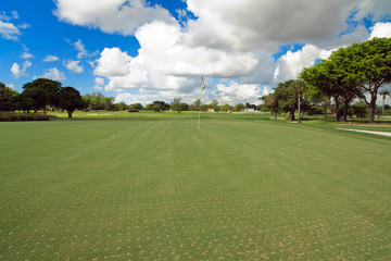 Newly Aerated Golf Course Putting Green