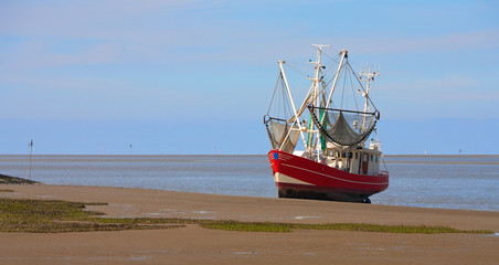 Kutter