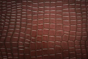 Foto op Canvas patroon van krokodillenleer © Ekaterina Naymushina