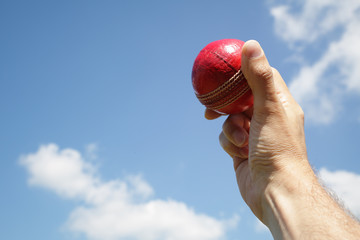 Cricket bowler with ball in hand