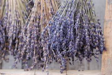 Fotobehang Lavendel lavande
