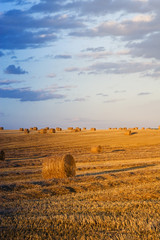 Farmers field full of hay bales