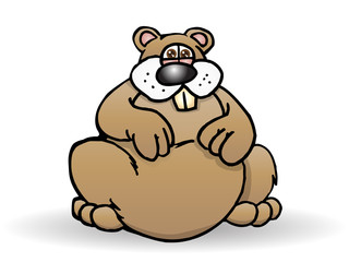 obesity Squirrel