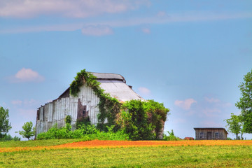 Old Barn