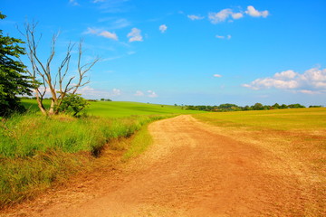 Beautiful rural road