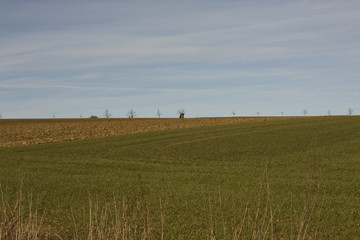 Steine an der Grenze