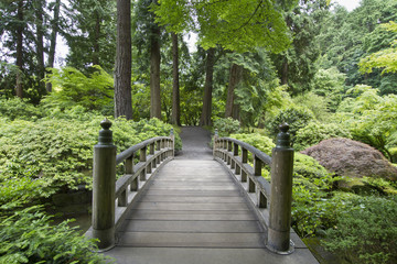 Bridge at Japanese Garden 2