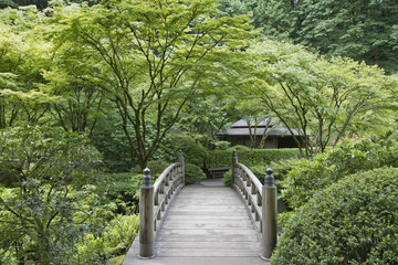 Bridge at Japanese Garden