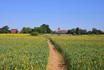 An English Rural Landscape with Village Church