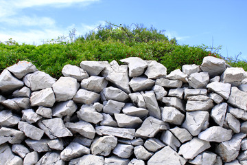 Stonewalled bush