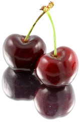 cerises, fond blanc