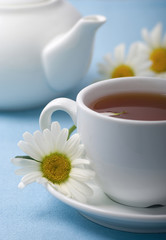Chamomile herbal tea on blue tablecloth