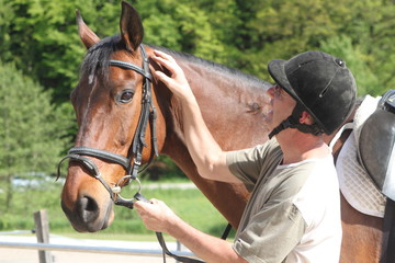 Mann mit Pferd fertig zum Ausritt