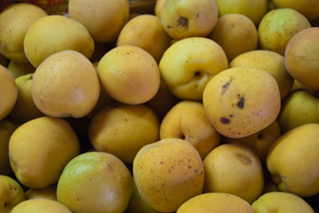 susine
