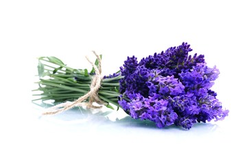 Lavendel