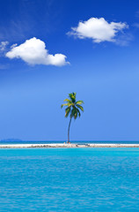 Lonely palm tree in the middle of ocean on background of sky