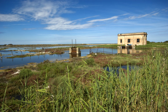 Toscana, Parco della Maremma, Palude della Trappola 4