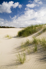 Coastal Sand Dunes