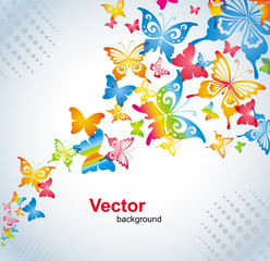 Colorful background with butterfly. Vector.