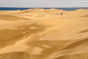 Fototapeta na wymiar Dünenlandschaft in Gran Canaria