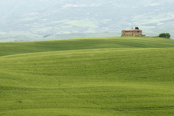 Obraz premium Paesaggio toscano