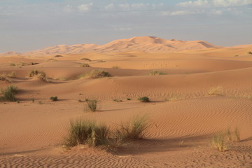 Fototapeta na wymiar Krajobraz pustyni Erg Chebbi - Maroko