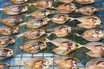 Dried fish on the market in Thailand