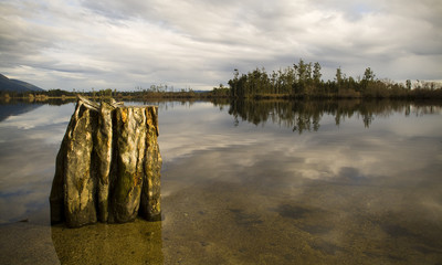 Still reflective waters with old tree stump and forest island