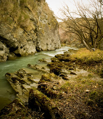 Small stream running between a rock face and an embankment in New Zealand