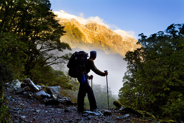 A hiker pauses for a rest at a clearing while hiking on the Milford Track in New Zealand